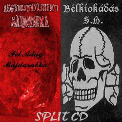 Bélkiokádás : Megkocsonyásodott Májdarabka - Bélkiokádás